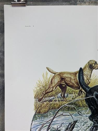 Art & Collectibles > Prints > Lithographs - Ernest Hart, Yellow Black Labradors, Signed Dog Print, 16x20, Wade Collection,...