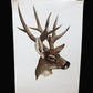 Art & Collectibles > Prints - Axel Amuchastegui, White Tailed Deer, 20.75x14 South American Art Print L by The Old Grainer...