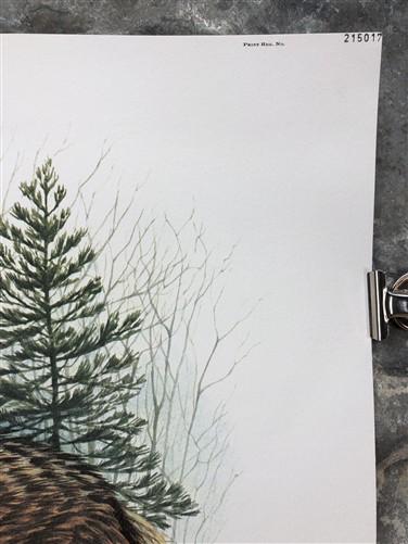 Art & Collectibles > Prints > Lithographs - Richard Timm, Coyote, Signed Print, 28x22 Wade Collection, Plate 21 by The Old...