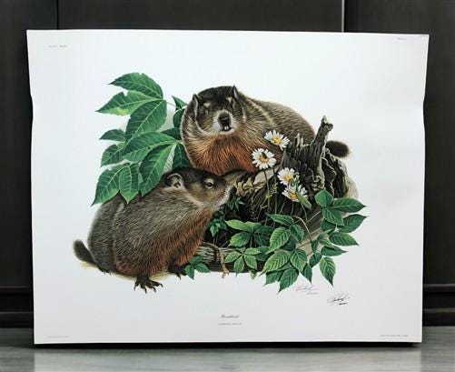Art & Collectibles > Prints > Lithographs - Richard Timm, Woodchuck, Signed Print, 28x22 Wade Collection, Plate 28 by The...