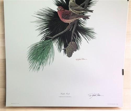 Art & Collectibles > Prints > Lithographs - Richard Sloan, Purple Finch, Signed Print, 28x22, Wade Collection, Plate 47 by...