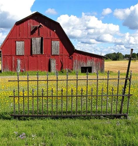Home & Living > Outdoor & Gardening > Garden Decoration > Yard Art - Wrought Iron Vintage Fence Panel (95x36.5) Architectu...