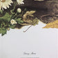 Art & Collectibles > Prints > Lithographs - Maryrose Wampler, Daisy Mum, Signed Print, 28x22 Wall Art, Plate 4 by The Old...