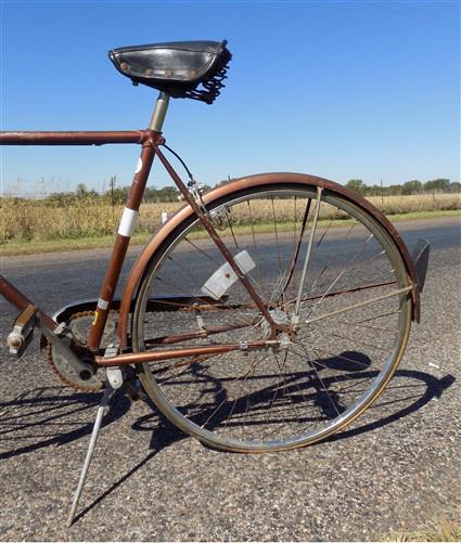 Toys & Games > Sports & Outdoor Recreation > Bikes & Cycling > Bicycles - Chicago Schwinn Bicycle, Brown 3 Speed World Tou...