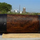 Home & Living > Home Decor > Wall Decor > Wall Hangings - 5'11" Longhorn Mounted Cattle Horns Steer Bull Western Texas Ran...