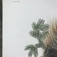 Art & Collectibles > Prints > Lithographs - Richard Timm, Porcupine, Signed Print, 28x22 Wade Collection, Plate 35 by The...