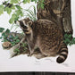 Art & Collectibles > Prints > Lithographs - Richard Timm, Racoon, Signed Prints, 28x22 Wade Collection, Plate 2 by The Old...