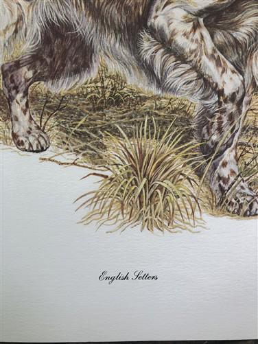 Art & Collectibles > Prints > Lithographs - Ernest Hart, English Setters, Signed Dog Print, 28x22, Wade Collection, Plate...