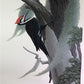 Art & Collectibles > Prints > Lithographs - Richard Sloan, Woodpecker, Signed Print, 28x22, Wade Collection, Plate 48 by T...
