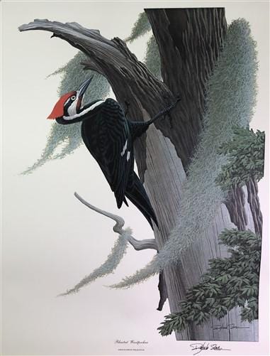 Art & Collectibles > Prints > Lithographs - Richard Sloan, Woodpecker, Signed Print, 28x22, Wade Collection, Plate 48 by T...