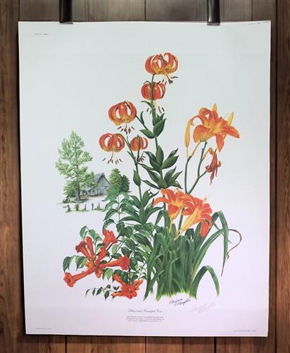 Art & Collectibles > Prints > Lithographs - Maryrose Wampler, Lilies & Trumpet Vine, Signed Print, 28x22 Wall Art, Plate 2...