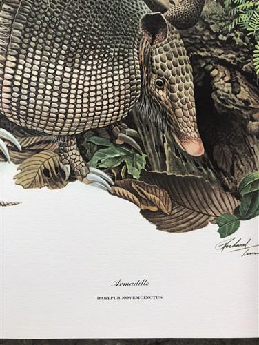Art & Collectibles > Prints > Lithographs - Richard Timm, Armadillo, Signed Print, 28x22 Wade Collection, Plate 23 by The...