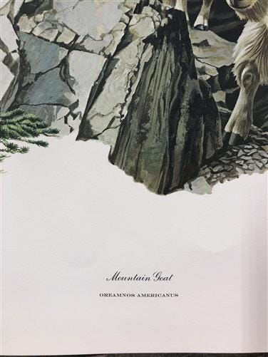 Art & Collectibles > Prints > Lithographs - Richard Timm, Mountain Goat, Signed Print, 28x22 Wade Collection, Plate 26 by...
