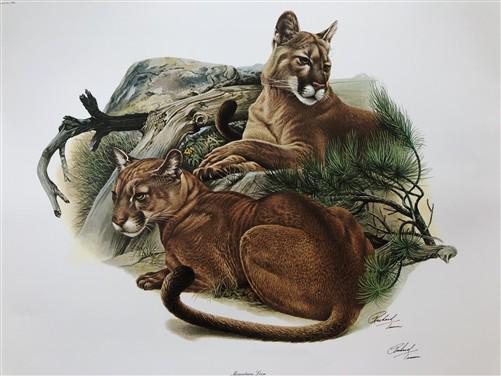 Art & Collectibles > Prints > Lithographs - Richard Timm, Mountain Lion, Signed Print, 28x22 Wade Collection, Plate 12 by...