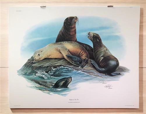 Art & Collectibles > Prints > Lithographs - Richard Timm, California Sea Lion, Signed Print, 28x22 Wade Collection, Plate...