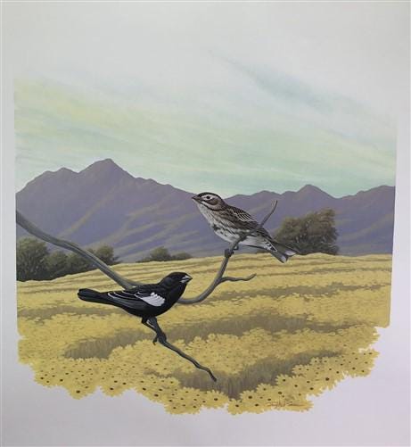 Art & Collectibles > Prints > Lithographs - Richard Sloan, Lark Bunting, Signed Print, 28x22, Wade Collection, Plate 42 by...