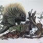 Art & Collectibles > Prints > Lithographs - Richard Timm, Porcupine, Signed Print, 28x22 Wade Collection, Plate 35 by The...