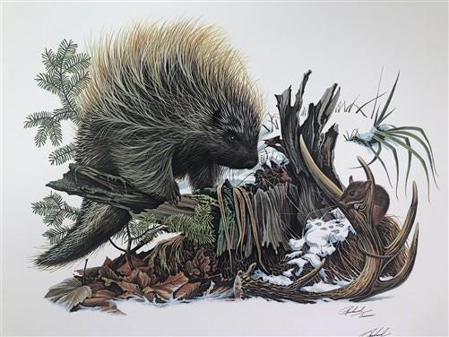 Art & Collectibles > Prints > Lithographs - Richard Timm, Porcupine, Signed Print, 28x22 Wade Collection, Plate 35 by The...