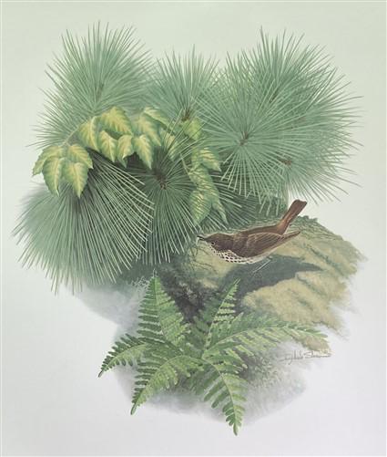 Art & Collectibles > Prints > Lithographs - Richard Sloan, Hermit Thrush, Signed Print, 28x22, Wade Collection, Plate 34 b...