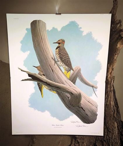 Art & Collectibles > Prints > Lithographs - Richard Sloan, Yellow Flicker, Signed Print, 28x22, Wade Collection, Plate 18...