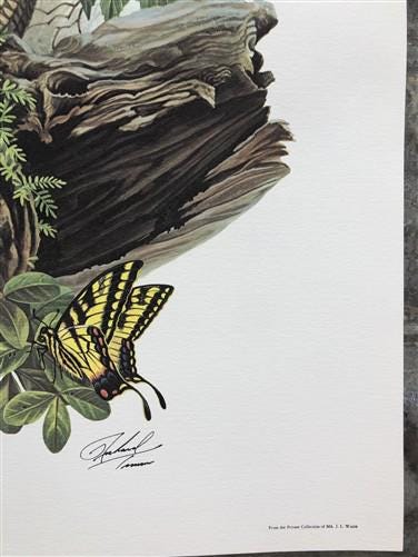 Art & Collectibles > Prints > Lithographs - Richard Timm, Armadillo, Signed Print, 28x22 Wade Collection, Plate 23 by The...