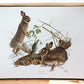 Art & Collectibles > Prints > Lithographs - Richard Timm, Eastern Cottontail, Signed Print, 28x22 Wade Collection, Plate 9...