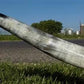 Home & Living > Home Decor > Wall Decor > Wall Hangings - 5'11" Longhorn Mounted Cattle Horns Steer Bull Western Texas Ran...