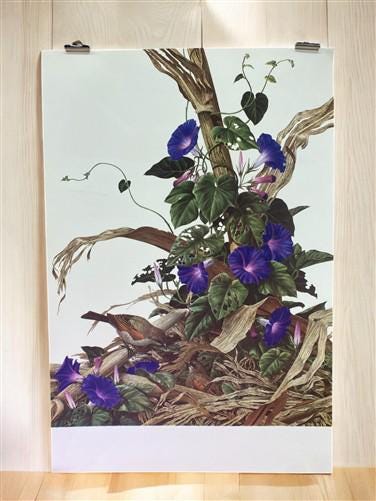 Art & Collectibles > Prints - Axel Amuchastegui, Bay Winged Cowbird, 20.75x14 South American Bird Art Print B by The Old G...