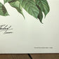 Art & Collectibles > Prints > Lithographs - Richard Timm, Bobcat, Signed Print, 28x22 Wade Collection, Plate 8 by The Old...