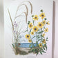 Art & Collectibles > Prints > Lithographs - Maryrose Wampler, Dune Flowers, Signed Print, 28x22 Wall Art, Plate 20 by The...