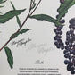 Art & Collectibles > Prints > Lithographs - Maryrose Wampler, Thistle, Signed Print, 28x22 Wall Art, Plate 28 by The Old G...