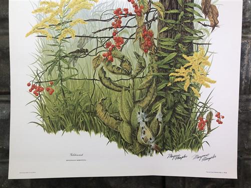 Art & Collectibles > Prints > Lithographs - Maryrose Wampler, Goldenrod, Signed Print, 28x22 Wall Art, Plate 13 by The Old...
