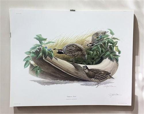 Richard Sloan, California Quail, Signed Print, 28x22, Wade Collection, Plate 27