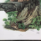 Art & Collectibles > Prints > Lithographs - Richard Timm, Lynx, Signed Print, 28x22 Wade Collection, Plate 27 by The Old G...