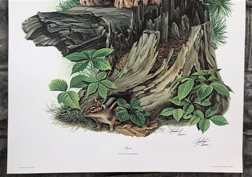 Art & Collectibles > Prints > Lithographs - Richard Timm, Lynx, Signed Print, 28x22 Wade Collection, Plate 27 by The Old G...
