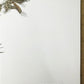 Art & Collectibles > Prints > Lithographs - Richard Timm, White Tailed Deer, Signed Print, 28x22 Wade Collection, Plate 7...