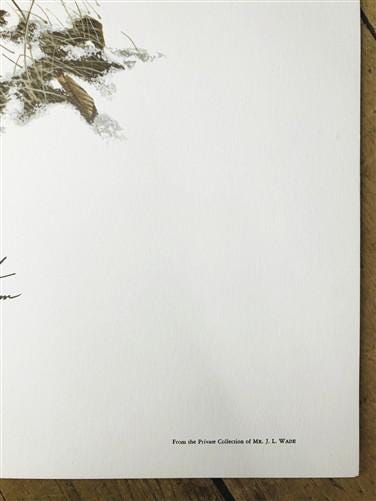 Art & Collectibles > Prints > Lithographs - Richard Timm, White Tailed Deer, Signed Print, 28x22 Wade Collection, Plate 7...