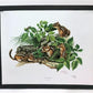 Richard Timm, Eastern Chipmunk, Signed Print, 28x22 Wade Collection, Plate 5