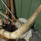 Home & Living > Home Decor > Wall Decor > Wall Hangings - 4'11" Longhorn Mounted Cattle Horns Steer Bull Western Texas Ran...