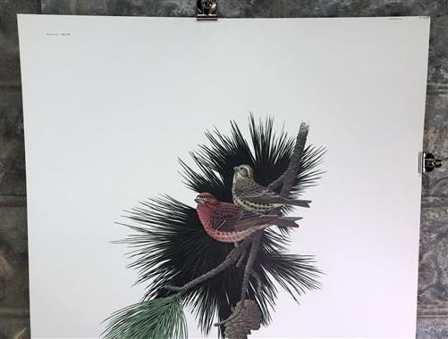 Art & Collectibles > Prints > Lithographs - Richard Sloan, Purple Finch, Signed Print, 28x22, Wade Collection, Plate 47 by...