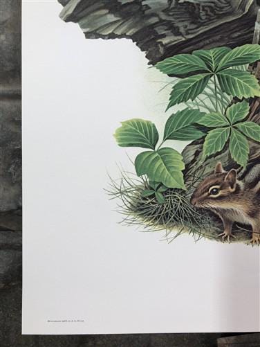 Art & Collectibles > Prints > Lithographs - Richard Timm, Lynx, Signed Print, 28x22 Wade Collection, Plate 27 by The Old G...