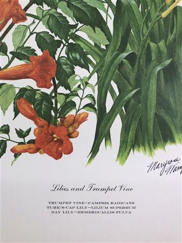 Art & Collectibles > Prints > Lithographs - Maryrose Wampler, Lilies & Trumpet Vine, Signed Print, 28x22 Wall Art, Plate 2...