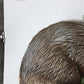 Art & Collectibles > Prints > Lithographs - Richard Timm, Beaver, Signed Print, 28x22 Wade Collection, Plate 11 by The Old...
