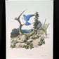 Art & Collectibles > Prints > Lithographs - Richard Sloan, Mountain Bluebird, Signed Print, 28x22, Wade Collection, Plate...