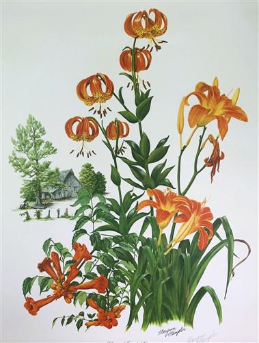 Art & Collectibles > Prints > Lithographs - Maryrose Wampler, Lilies & Trumpet Vine, Signed Print, 28x22 Wall Art, Plate 2...
