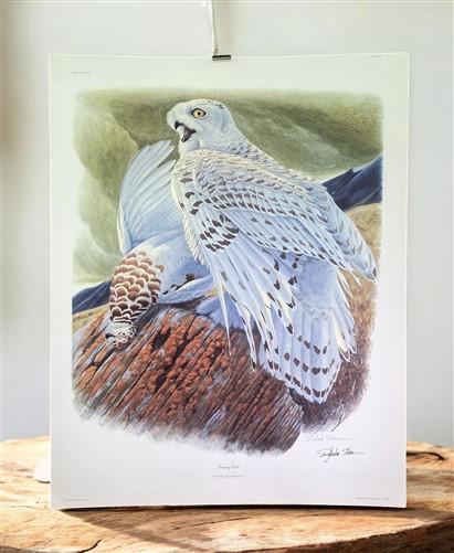 Art & Collectibles > Prints > Lithographs - Richard Sloan, Snowy Owl, Signed Print, 28x22, Wade Collection, Plate 30 by Th...