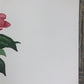 Maryrose Wampler, Camellia, Signed Print, 28x22 Wall Art, Plate 19
