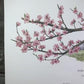 Maryrose Wampler, Peach Blossom, Signed Print, 28x22 Wall Art, Plate 16