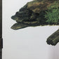 Art & Collectibles > Prints > Lithographs - Maryrose Wampler, Hibiscus Orange Blossom, Signed Print, 28x22 Wall Art, Plate...