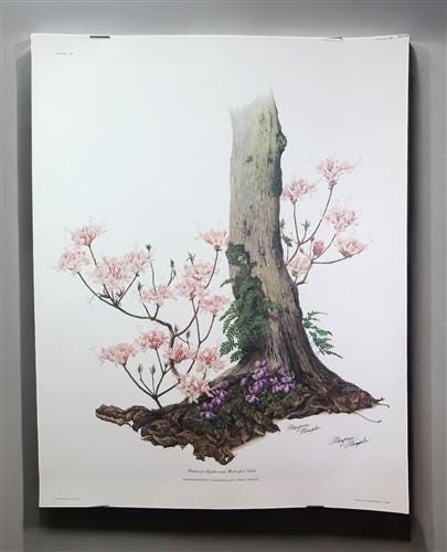 Art & Collectibles > Prints > Lithographs - Maryrose Wampler, Piedmont Azalea Violet, Signed Print, 28x22 Wall Art, Plate...